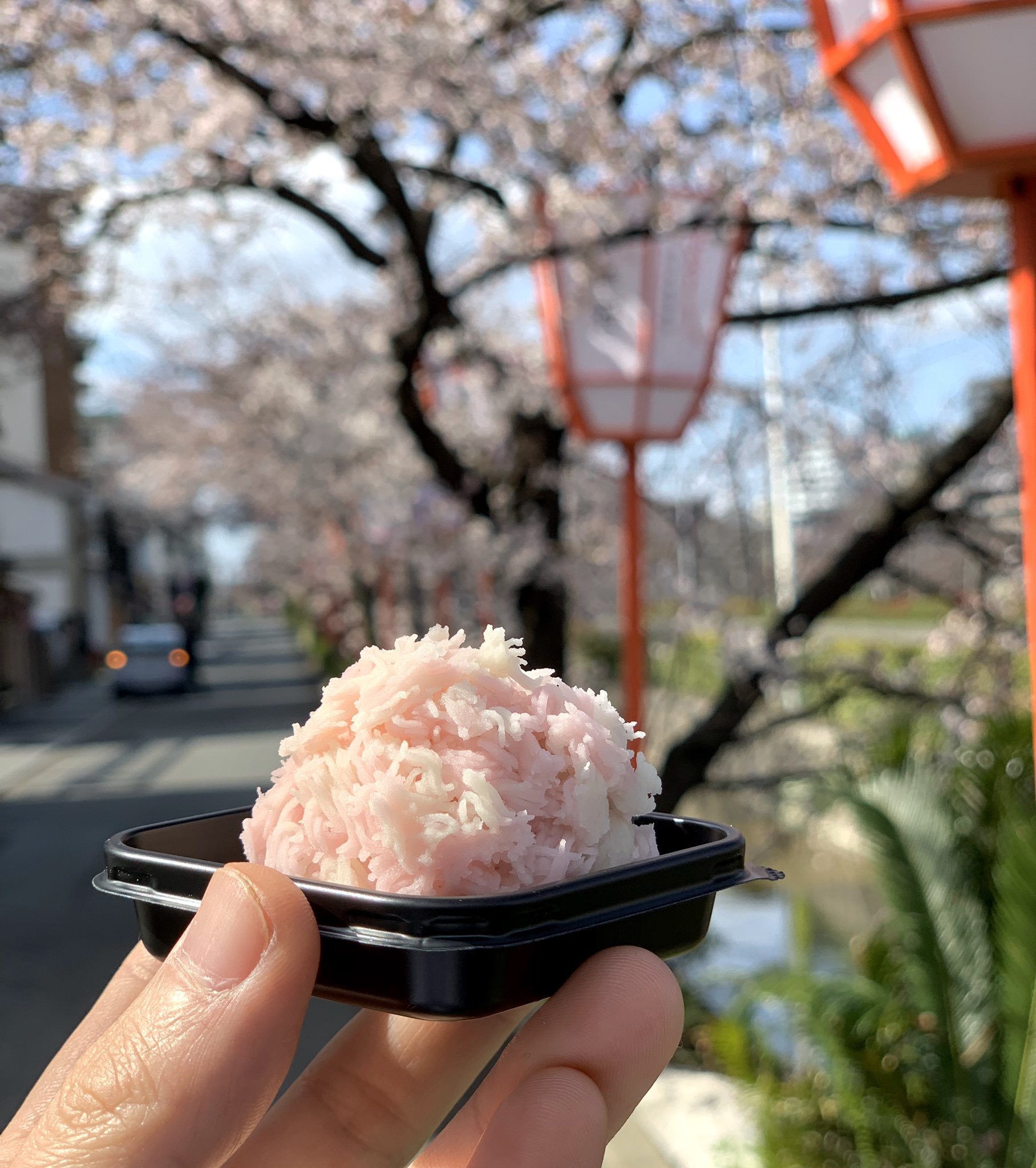 桜きんとん